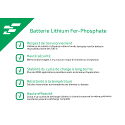 FLAT CAT Batterie Li-Fe - 36 Trous - 8,0Ah caractéristiques